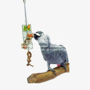 Truckload of pet supplies from Chewy.