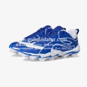 Lot of athletic footwear and sporting goods