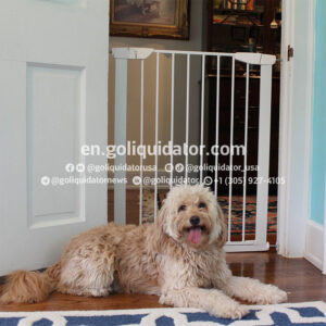 Lots of pet supplies from Chewy.com
