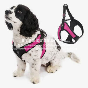 Lots of pet supplies from Chewy.com
