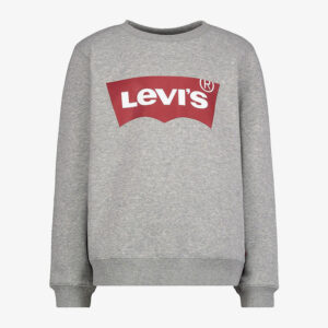 Batches of levi's t-shirts, shirts, hoodies and sweaters in wholesale liquidation